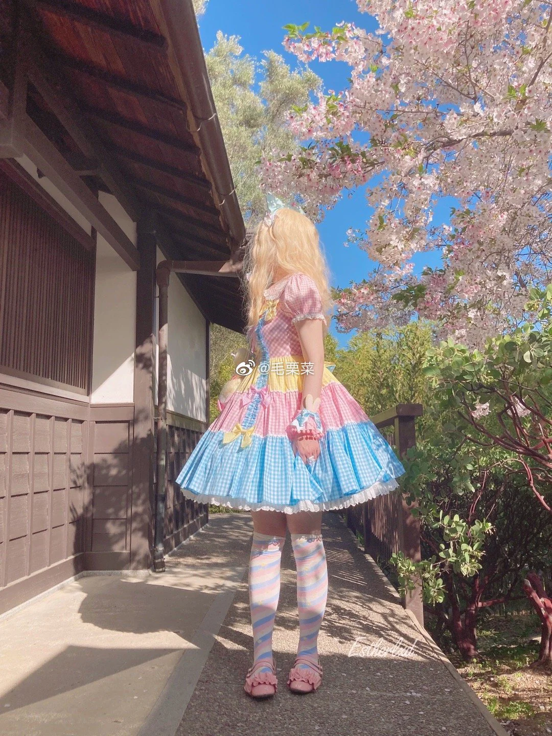 Yukine's Box - Macaron Lolita Cute Stripe Socks - Image 7