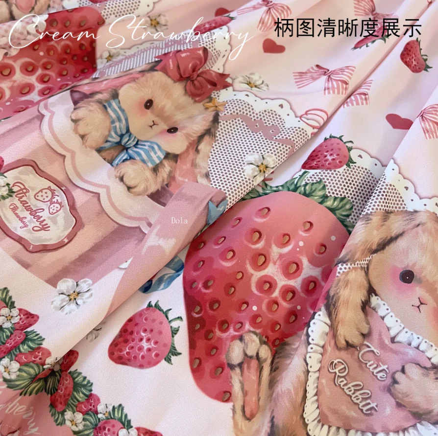 Rabbit Berry Gift Box - Sweet Lolita Salopette and Dress Set - Image 43
